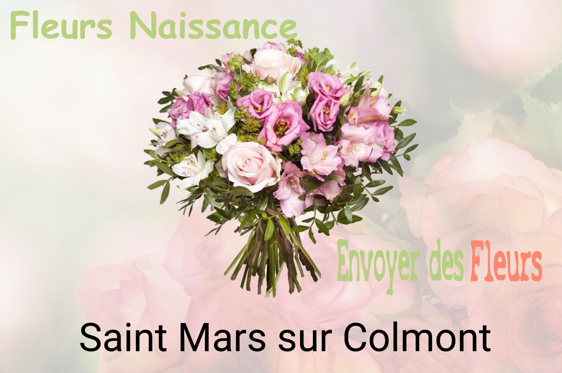 Bouquet de fleurs de naissance livré à Saint-Mars-sur-Colmont